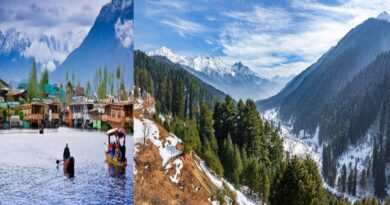 कश्मीर यात्रा गाइड: प्राकृतिक सुंदरता और स्वादिष्ट भोजन का अनूठा संगम