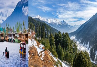 कश्मीर यात्रा गाइड: प्राकृतिक सुंदरता और स्वादिष्ट भोजन का अनूठा संगम
