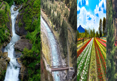 ऑफबीट समर डेस्टिनेशन: गर्मियों के लिए 7 बेहतरीन ठंडी जगहें – भीड़ से दूर छुट्टियां!